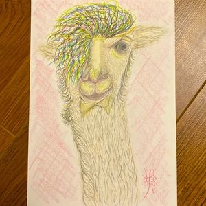 Unframed Original Character Art Illustration in Pencil Crayon Drama Llama